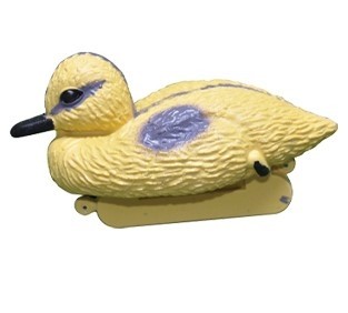 Bermuda Duckling * Limited Stock