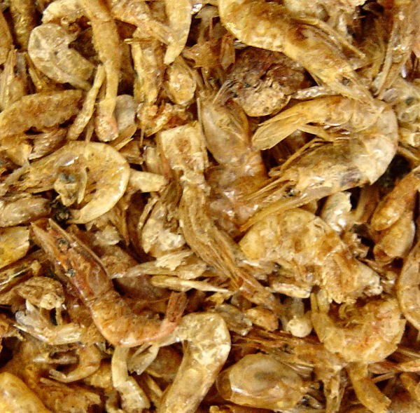 Boddington's Premium Dried River Shrimp 3-4mm