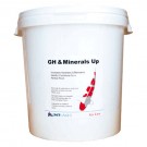 NT Labs Koi Care GH & Minerals Up