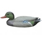 Bermuda Male Duck * Limited Stock