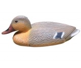 Bermuda Female Duck * Limited Stock